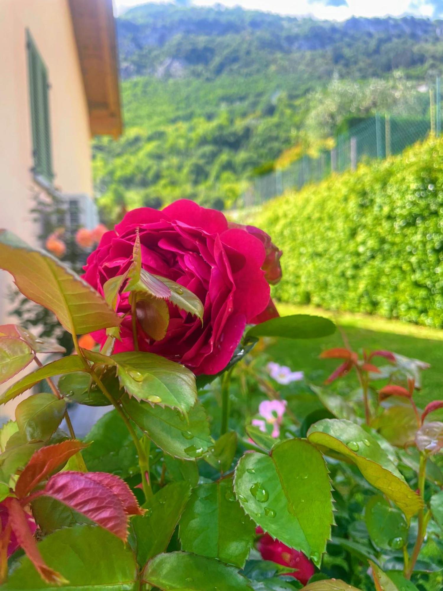 Comacina Villa Como Kültér fotó