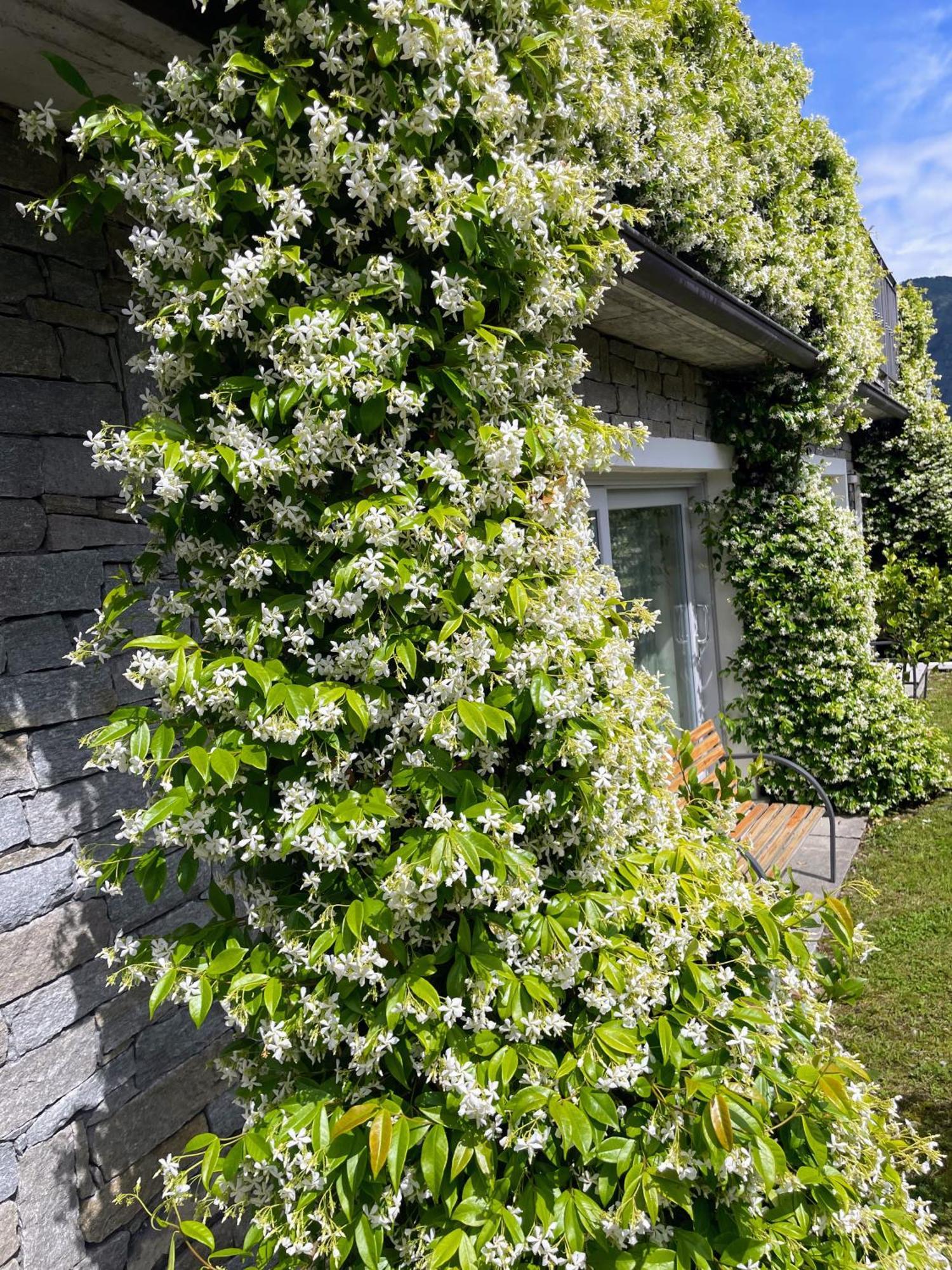 Comacina Villa Como Kültér fotó